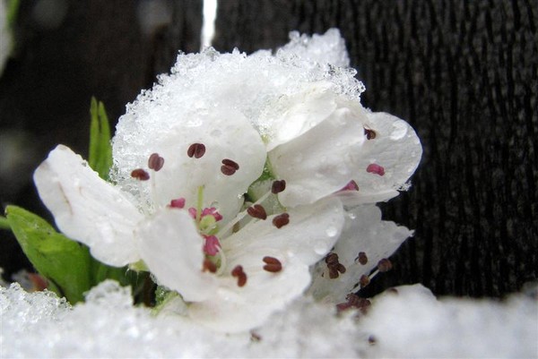 An Unusual Texas Spring