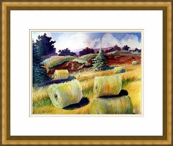 Hayfield ©
