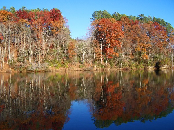 autumn splendor