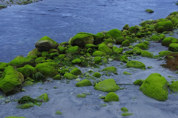 Low Tide