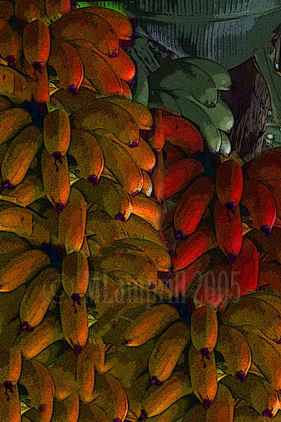 Coloured Bananas