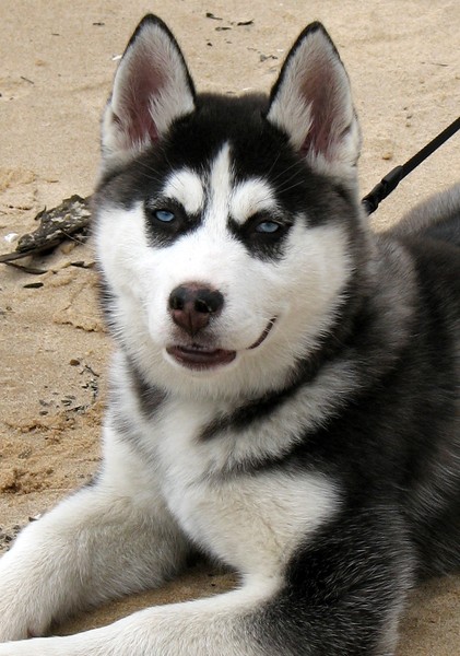 Cheyenne