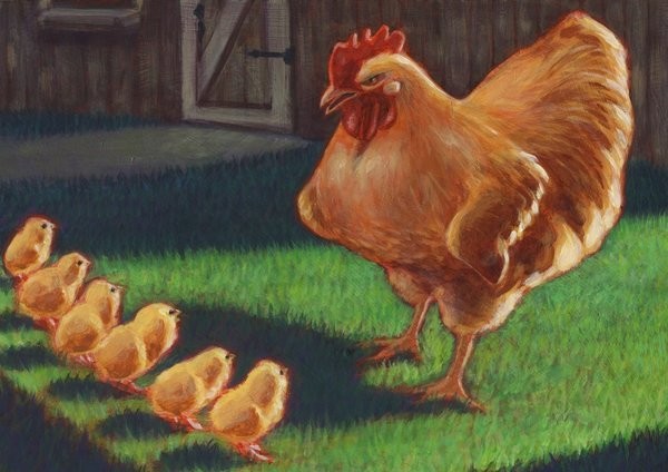 One Angry Chicken