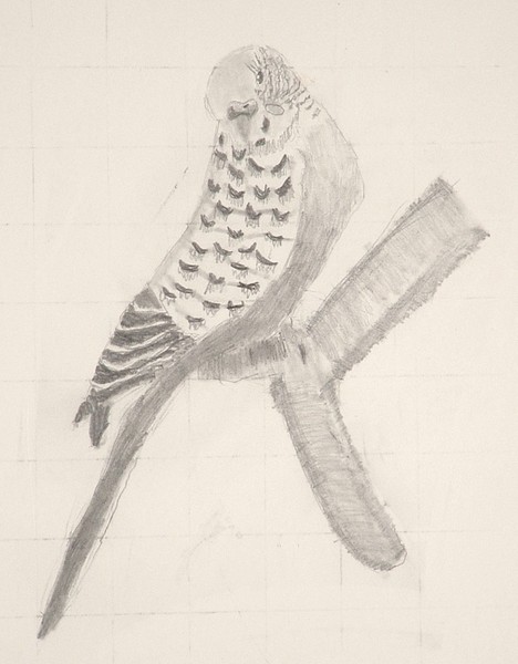 My Bird--Kitty