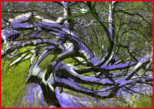 ABSTRACT TREE