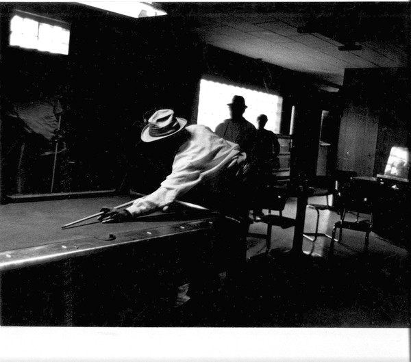 The Pool Shark
