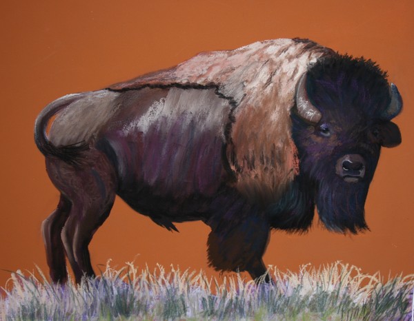 Prairie Native