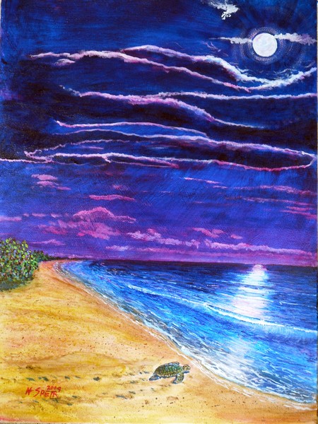 Turtle Returning to Ocean
