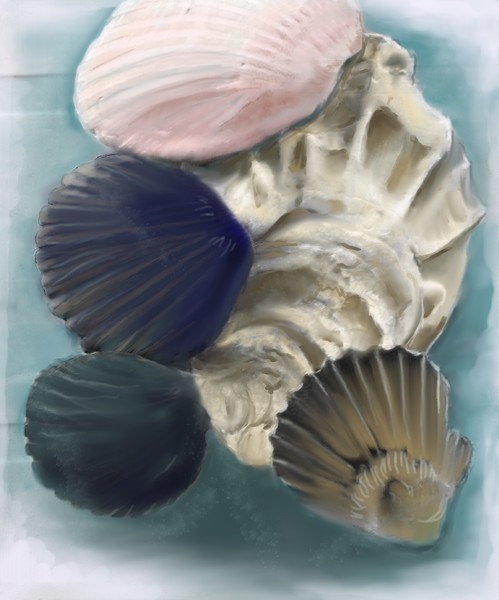 Shells
