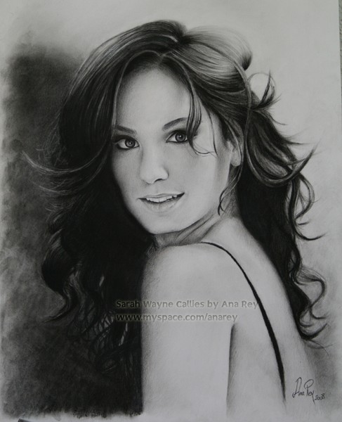 Sarah Wayne Callies