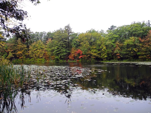 A Touch of Autumn