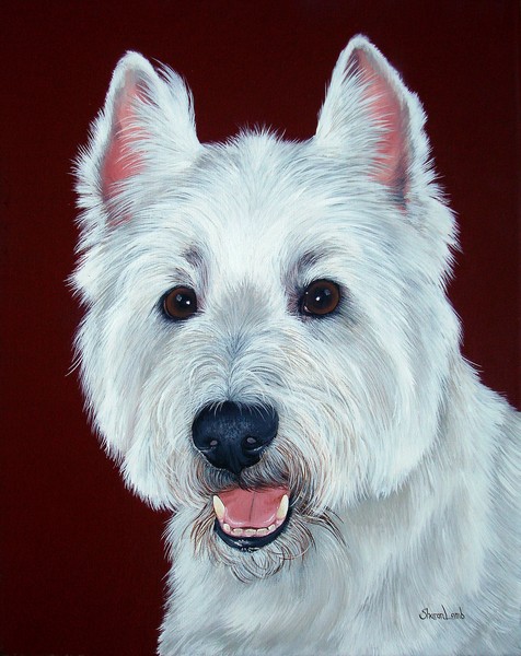 Commissioned Pet Painting Any Pet Welcome