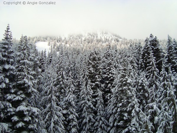 Winter Time