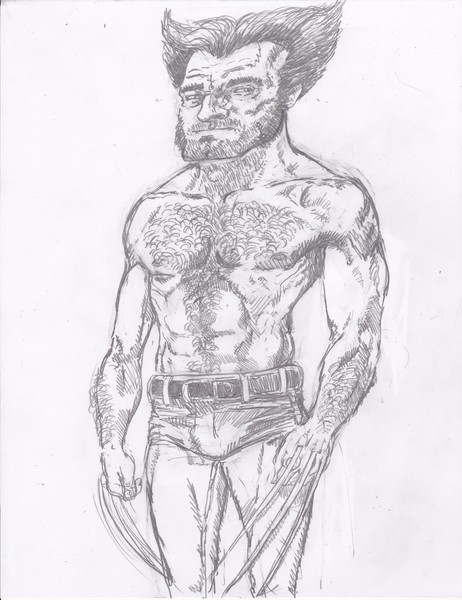Hairy Wolverine