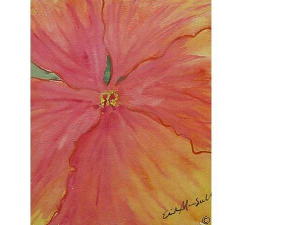 Pink Pansy