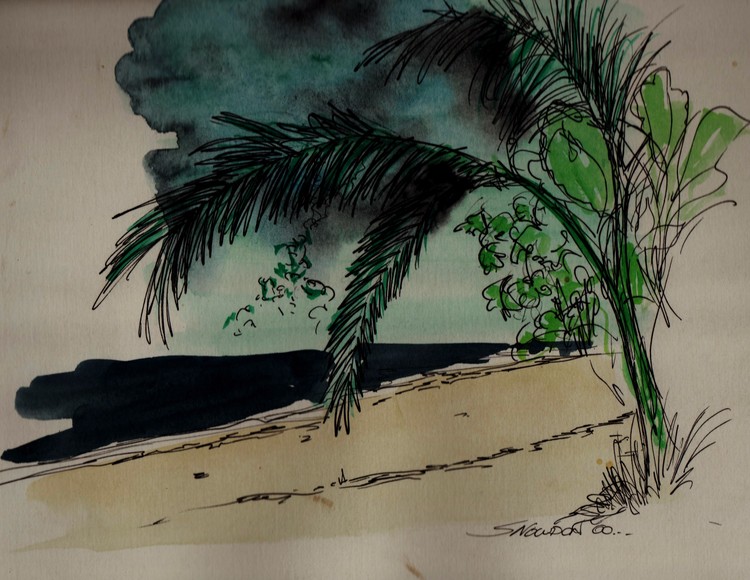 backbeach
