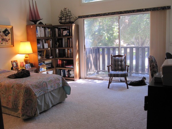 New Den/Guest Room