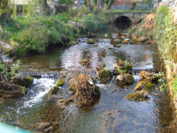 The Stream