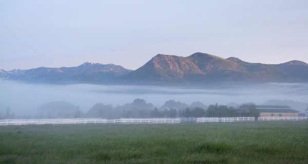 In the mist