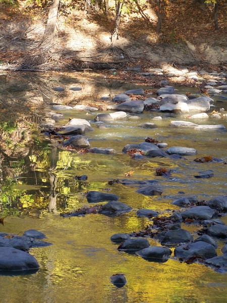 Reflections on the river 2