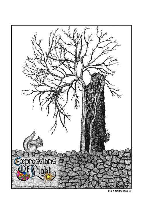 ExpoLight-Graphic-Arts-Squirel-&-Tree-1984-0001 (Pen-&-Ink-Mono-SP)