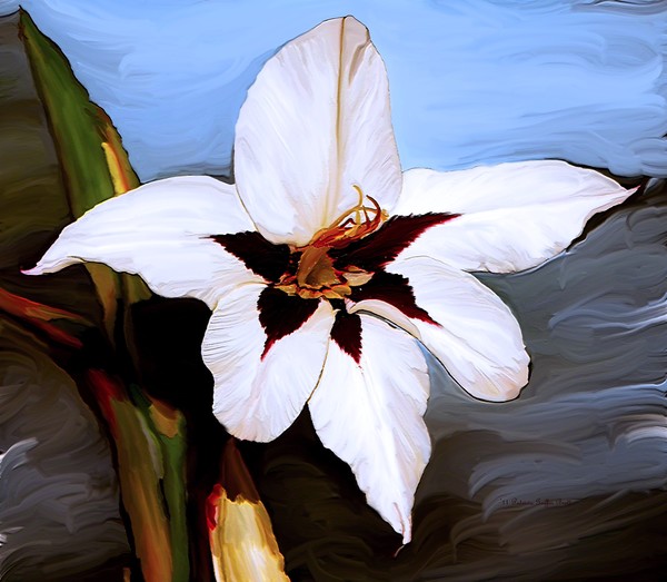 Lily I