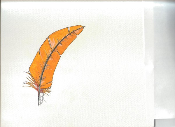 yellow feather