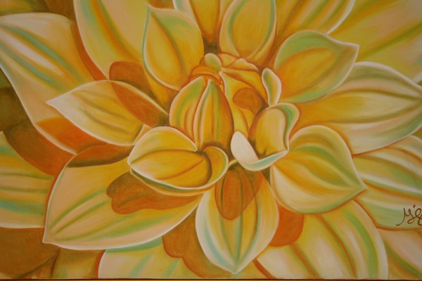 Dahlia - Sunlit