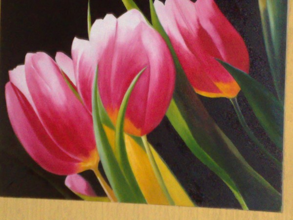 tulip