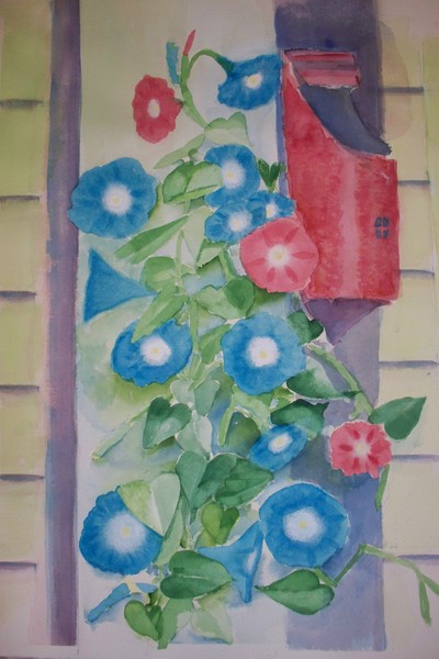 Morning Glories