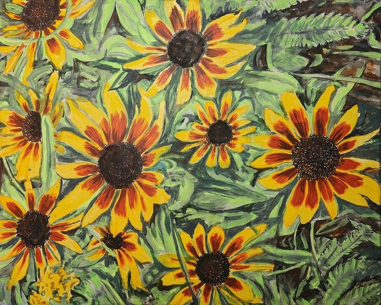 Black Eyed Susans