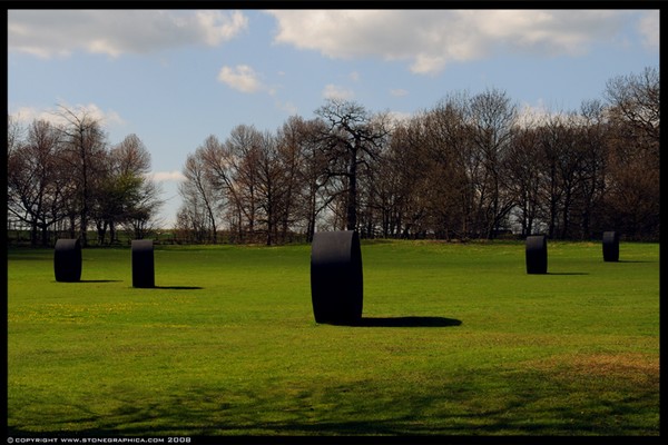 Rolls_in_field