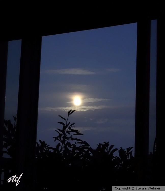 moonlight
