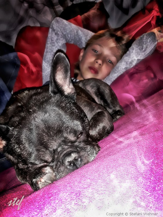 siesta