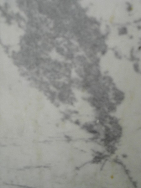 Marble Cartoons