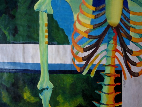 Skeleton