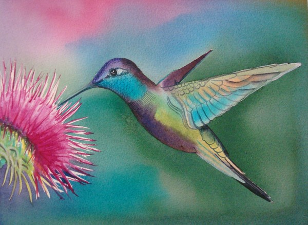 HUMMING BIRD