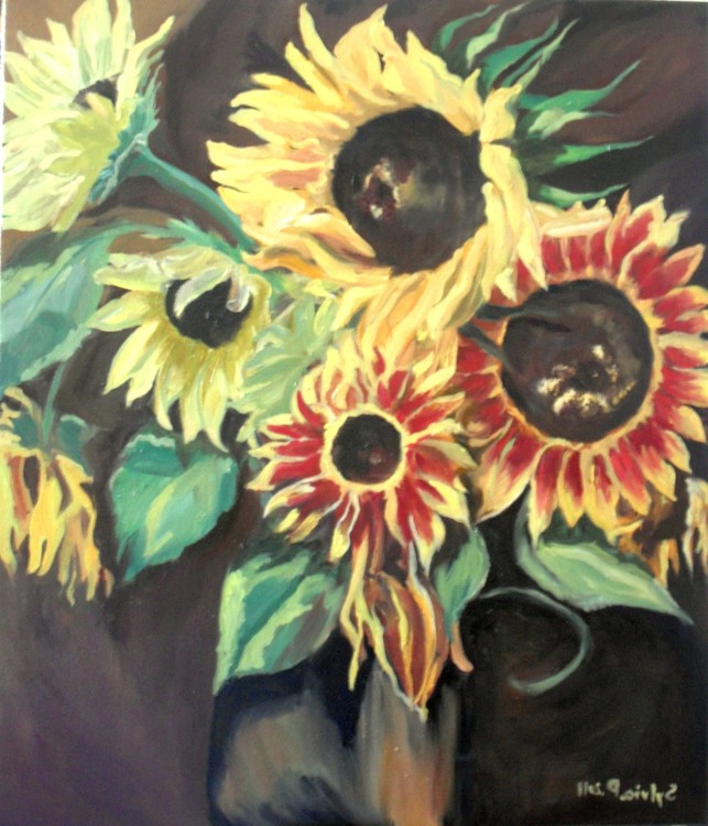 sun26x24