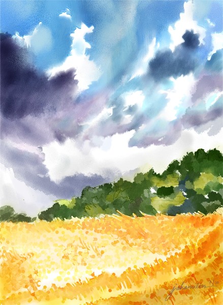 Fields of Gold