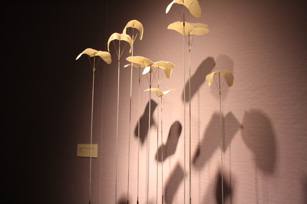 Paper Fly