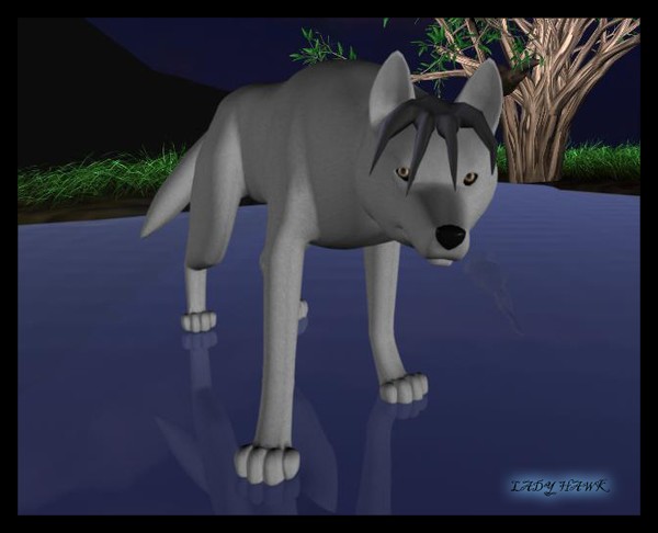 +She Who Walks On Water+