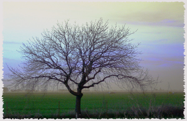 Loneliness 5