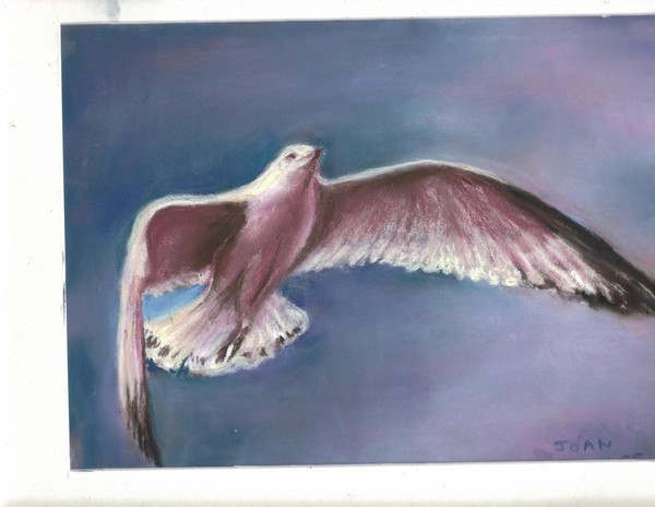 Flying High