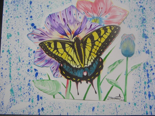rainly butterfly