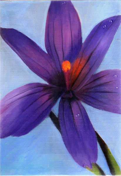 it's purple