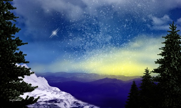 A Winter Night