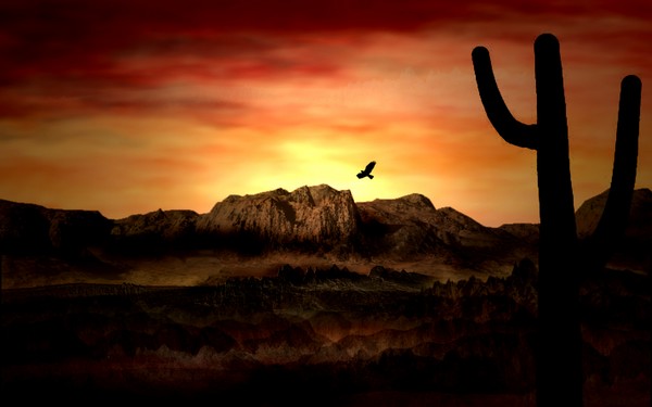 Western Skies