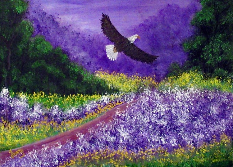 Eagle Paradise