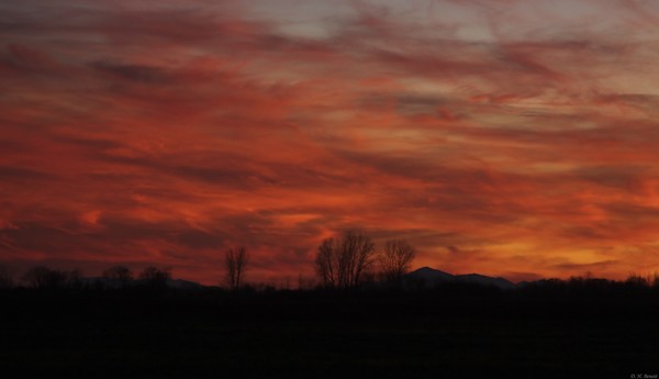 Evening In Red