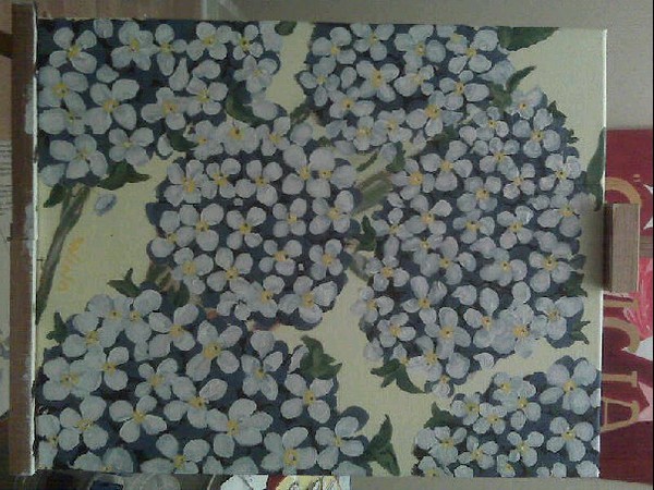 Hydrangeas